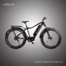 48V1000W Bafang Mid Drive nouveau design gros vélo électrique, vélo de montagne motorisé
